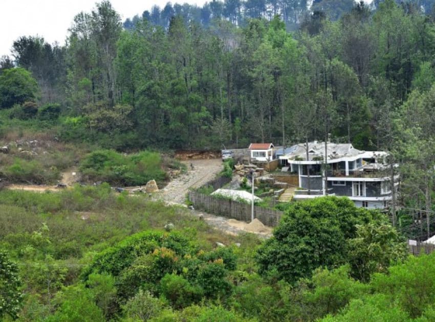 WOW Bison Woods - Image 4