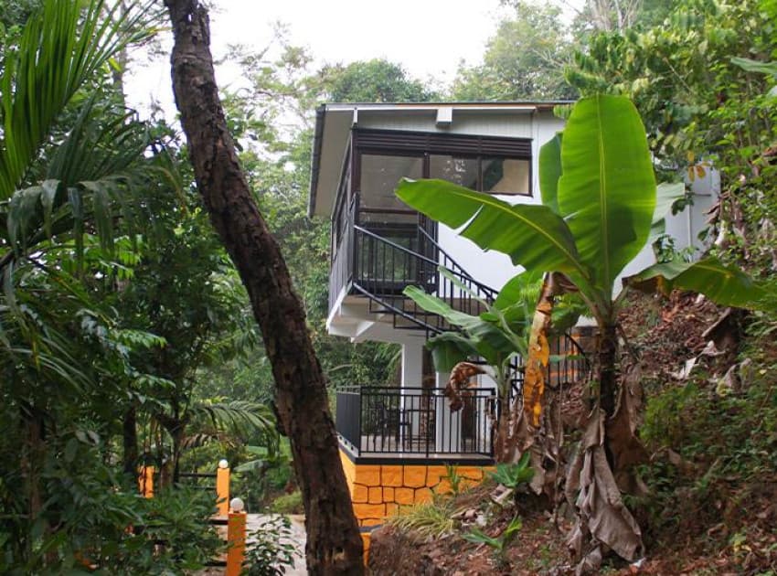 Theeram Agro Farm Hill Resort Vagamon - Image 2