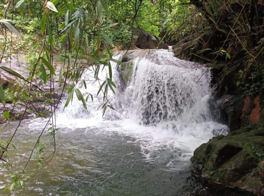 The Meadows INN - Image 2