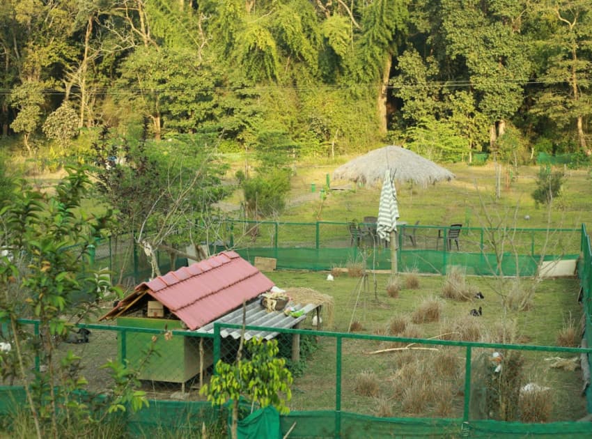 Tiger Tracks Resort - Image 4