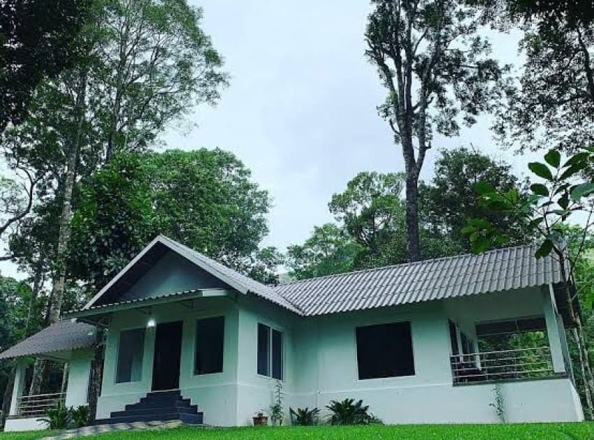 Kailas Estate Nelliyampathy - Image 4