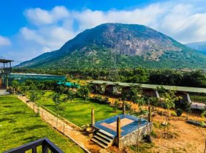 Stone Hills - Image 3