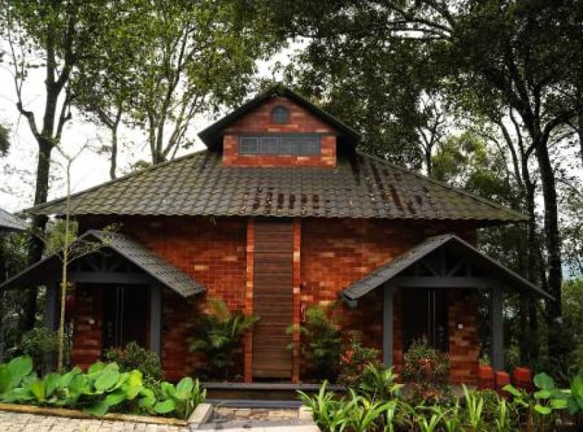 Elephant Passage - Image 2