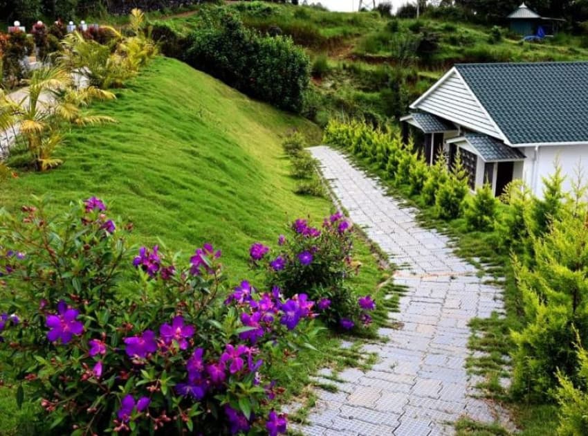 Rainwood Aurum Resort - Image 4