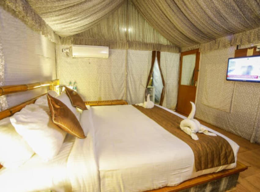 Book Luxury Swiss Tent room in Yercaud