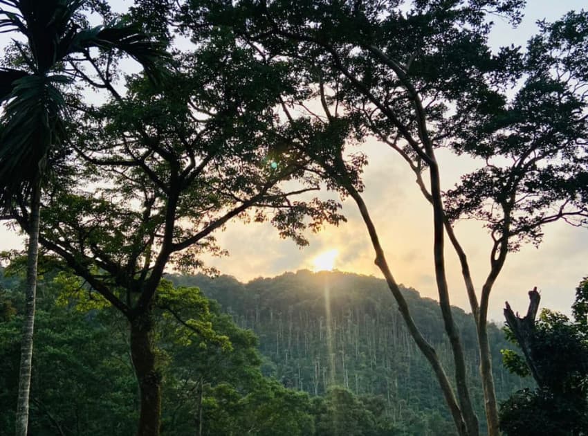 Book Deluxe Suite room in Coorg