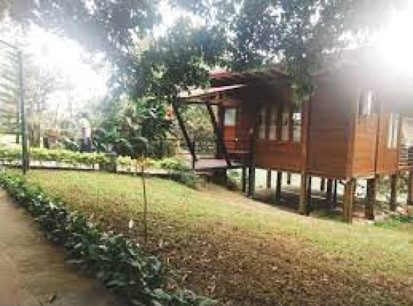 Book Wooden Chalets room in Valparai