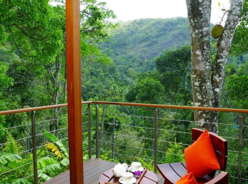 Book Mountain View Cottage room in Thekkady