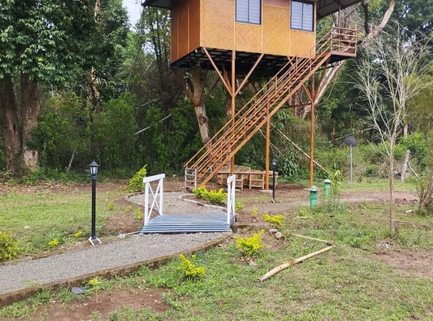 Book Tree House room in Megamalai